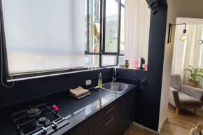 Bright Studio in Shapira